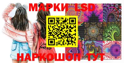 крисы Пенза