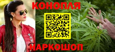 крисы Пенза