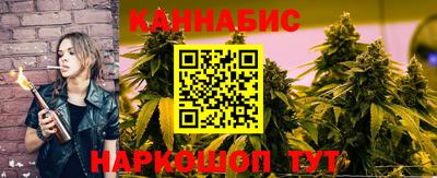 крисы Пенза