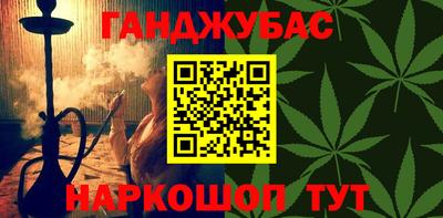 крисы Пенза