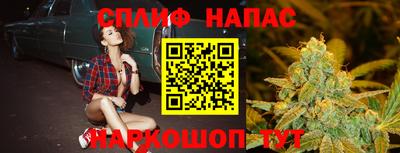 крисы Пенза