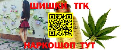 крисы Пенза